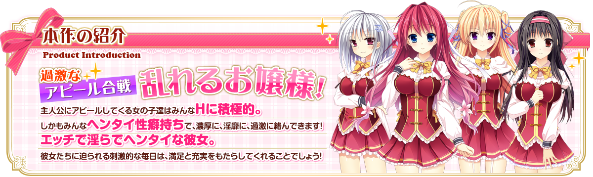 今作の紹介