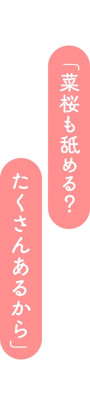 「菜桜も舐める？　たくさんあるから」