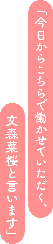 「今日からこちらで働かせていただく、文森菜桜と言います」