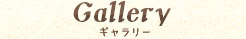 ギャラリー
