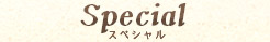 スペシャル